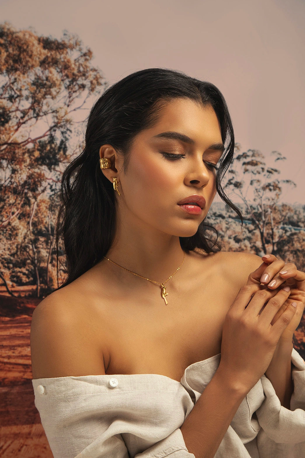 Arete topo cardenal Brillo Guajiro