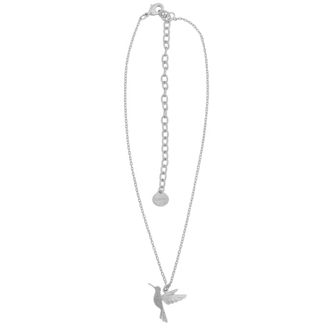 Cadena Colibri Plateado Alas del Alma