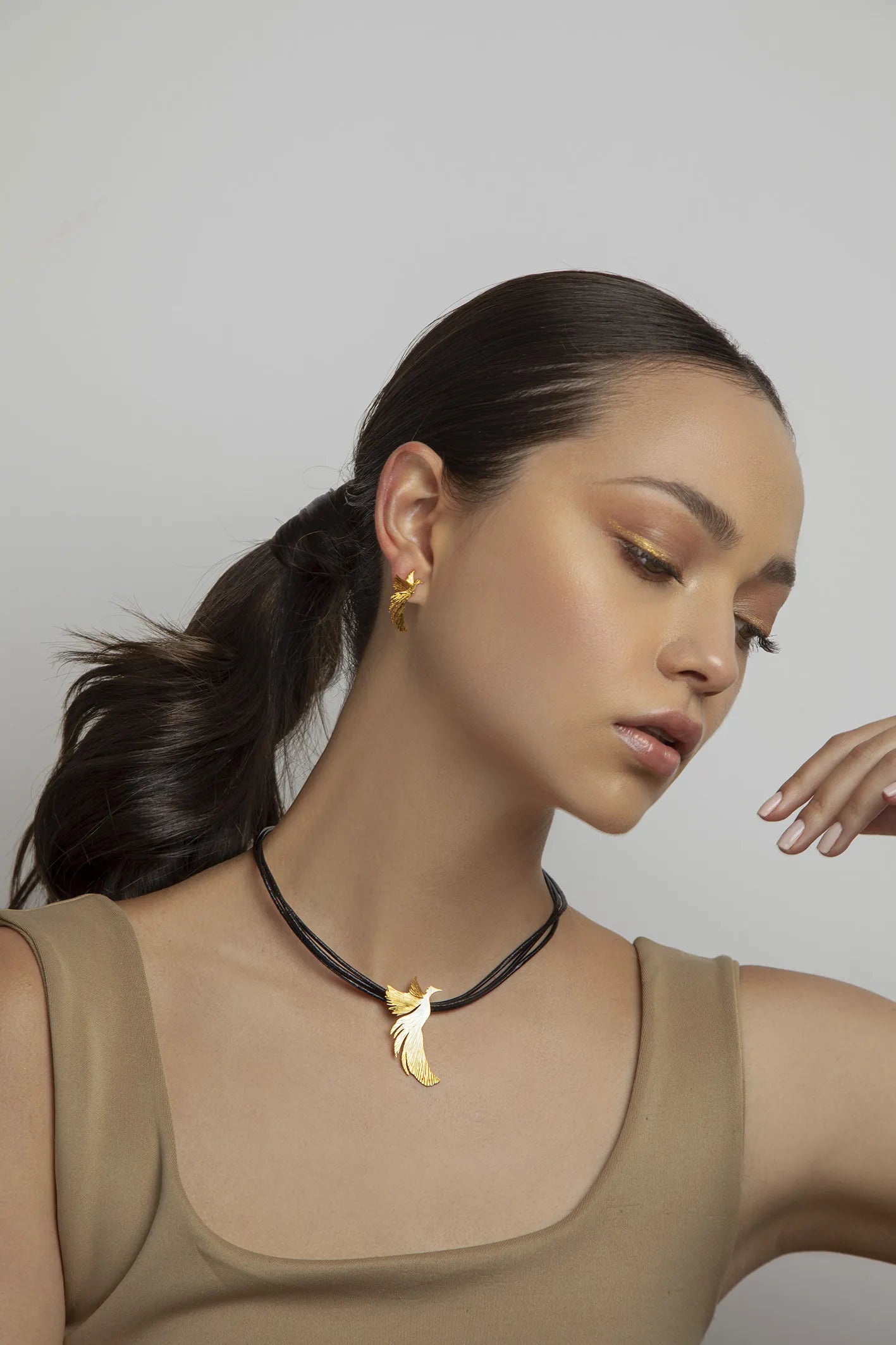 Arete Topo Ave Fénix Resiliencia