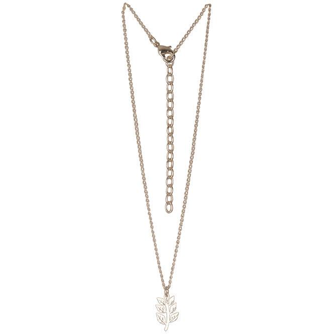 Cadena Choker Rama De Laurel Renacer - Blumart