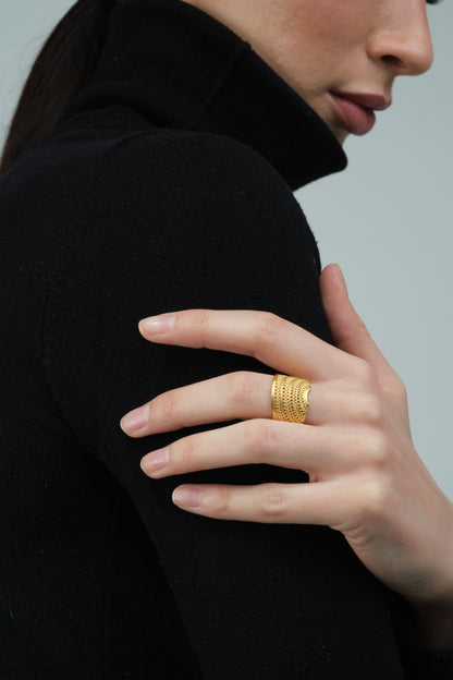 Anillo nariguera Sinú