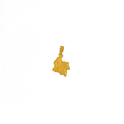 Dije mapa de Colombia con relieve