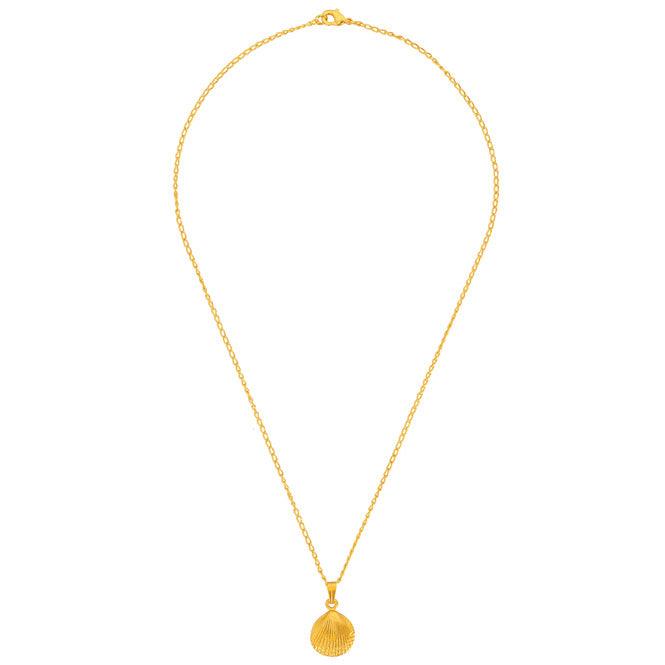 Cadena Y Dije Concha De Mar - Blumart