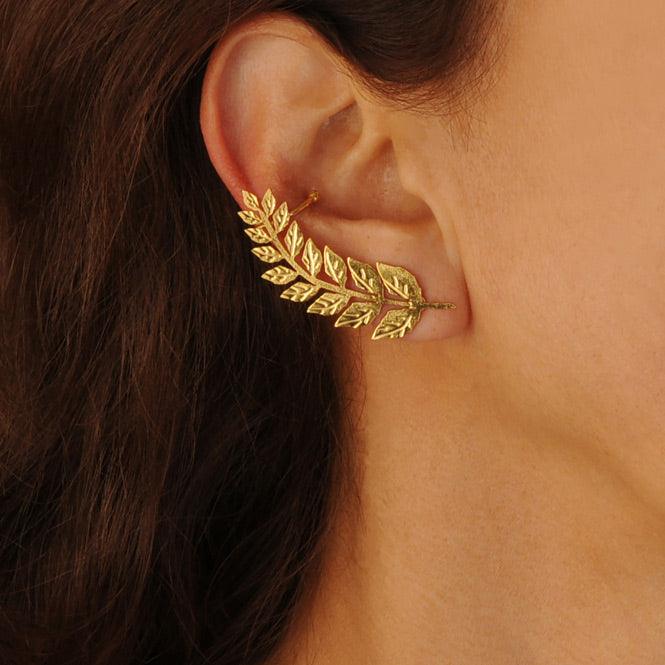 Ear Cuff Y Arete Rama De Laurel Renacer - Blumart